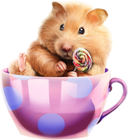a cute friend